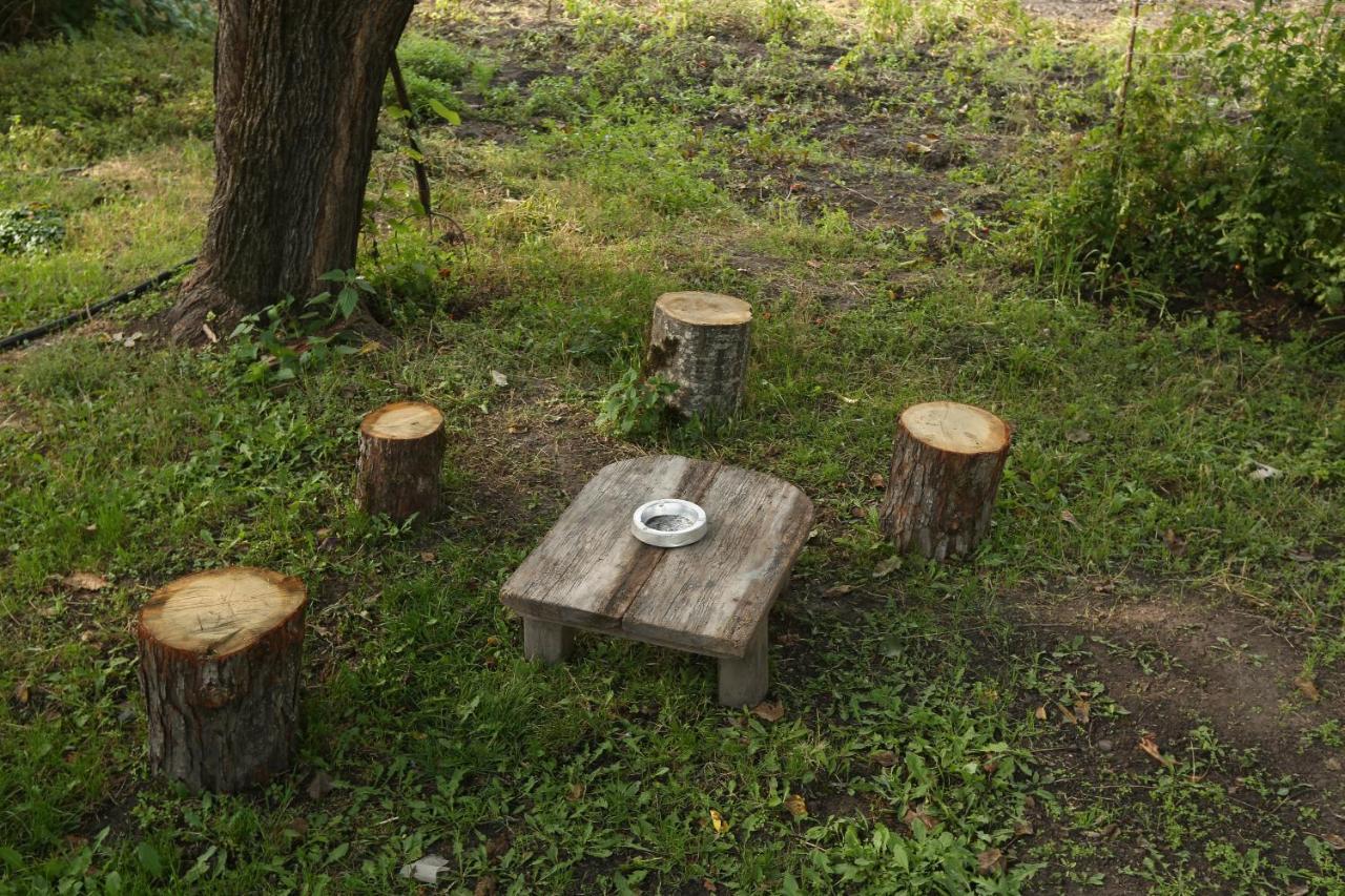 Guesthouse "Ashot Shalunts" Горис Экстерьер фото